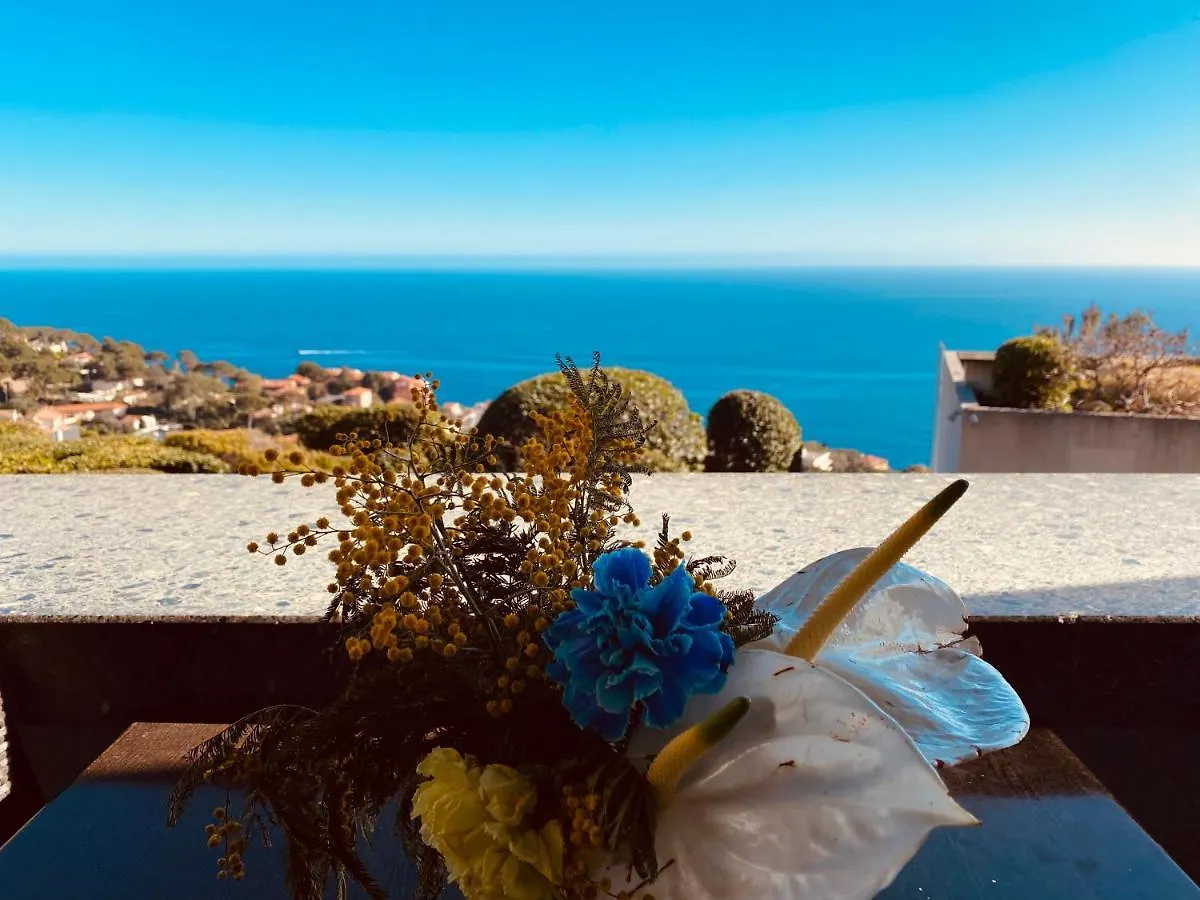Sunny Home Costa Plana-Monaco -Cap D'Ail Cap-d'Ail Apartment